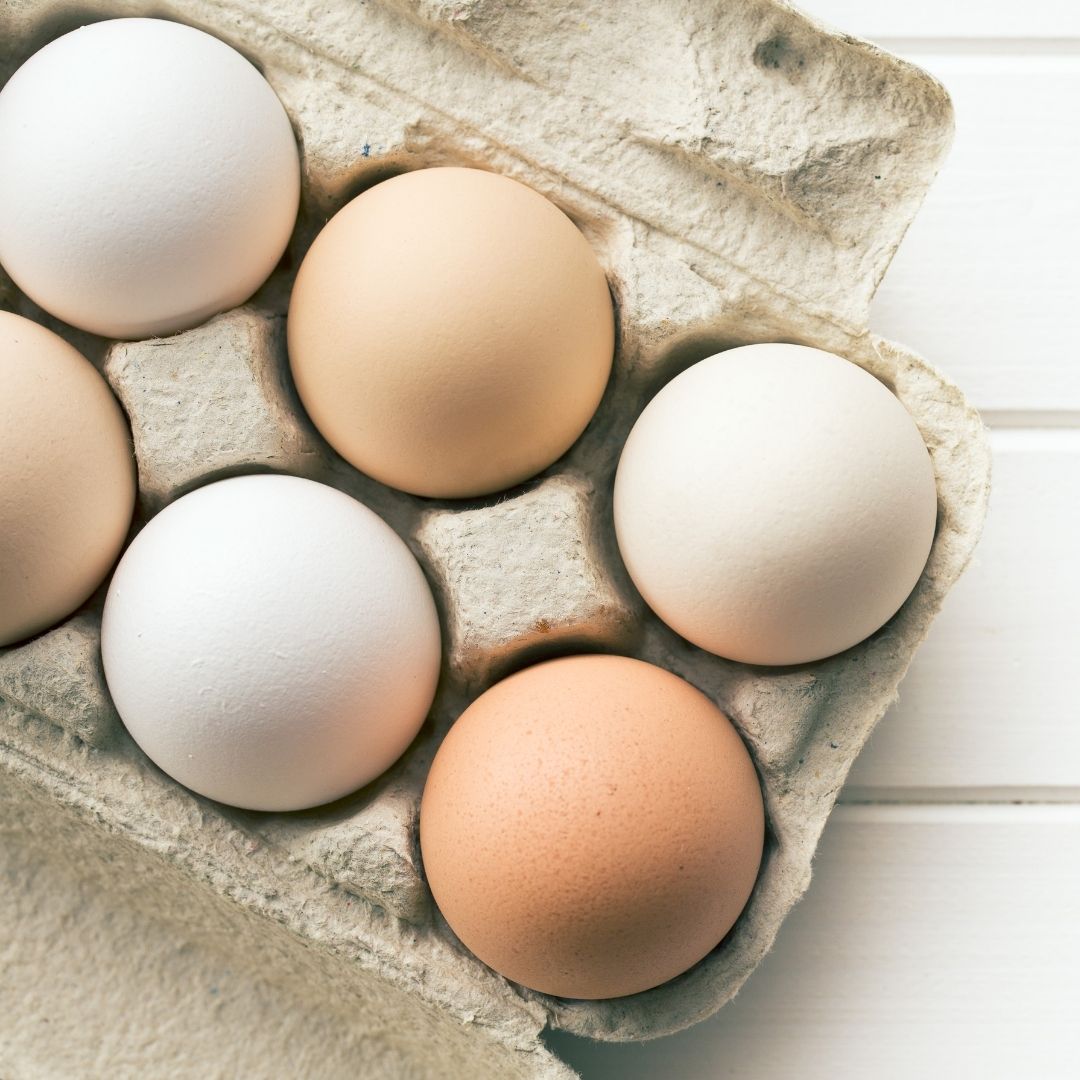 Egg Labels Explained How To Buy Quality Eggs egg-labels-explained-how-to-buy-quality-eggs