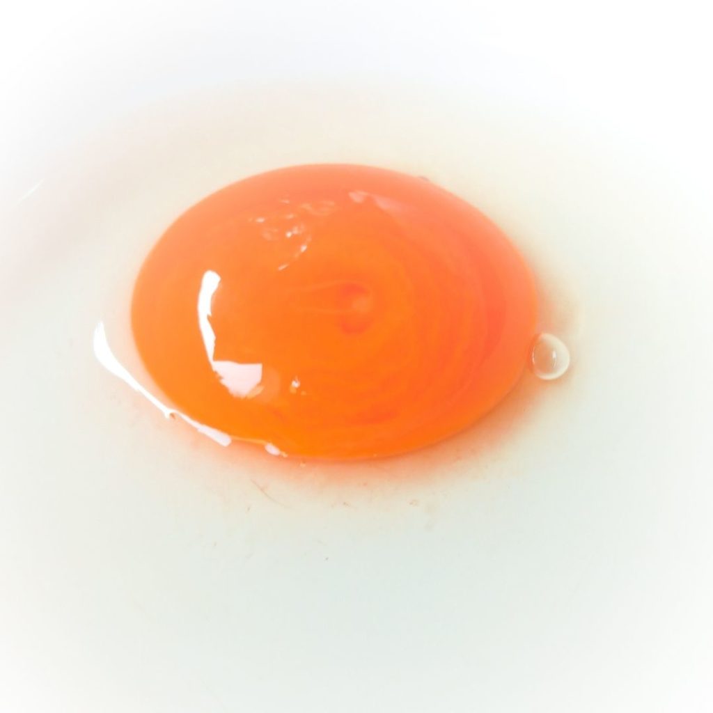 orange-egg-yolk