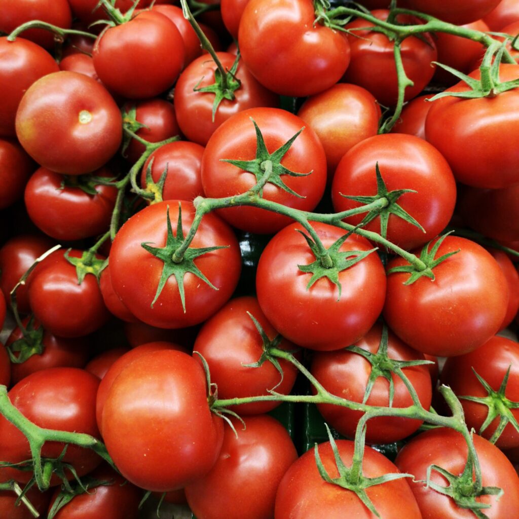 tomatoes-on-the-vine